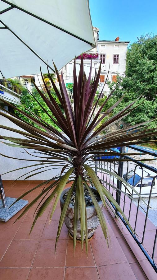Apartamento Gasparac - 30 Meters From The Ika